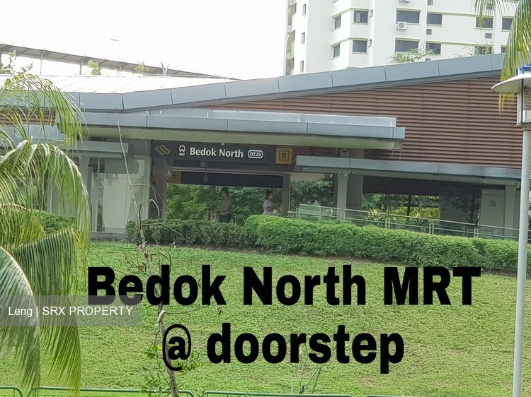 Bedok North Road thumbnail photo